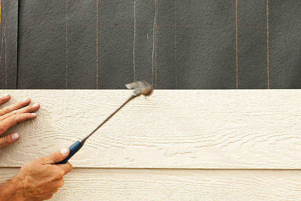 Affordable Siding Repair and Maintenance Services in Waterloo, WI
